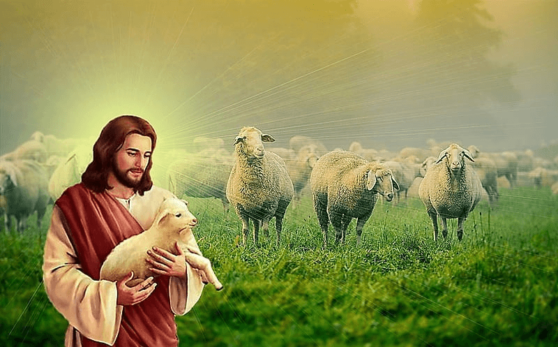 Sermon of the Week